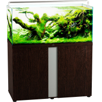 akvarium biodizajn iwagumi 100_venge